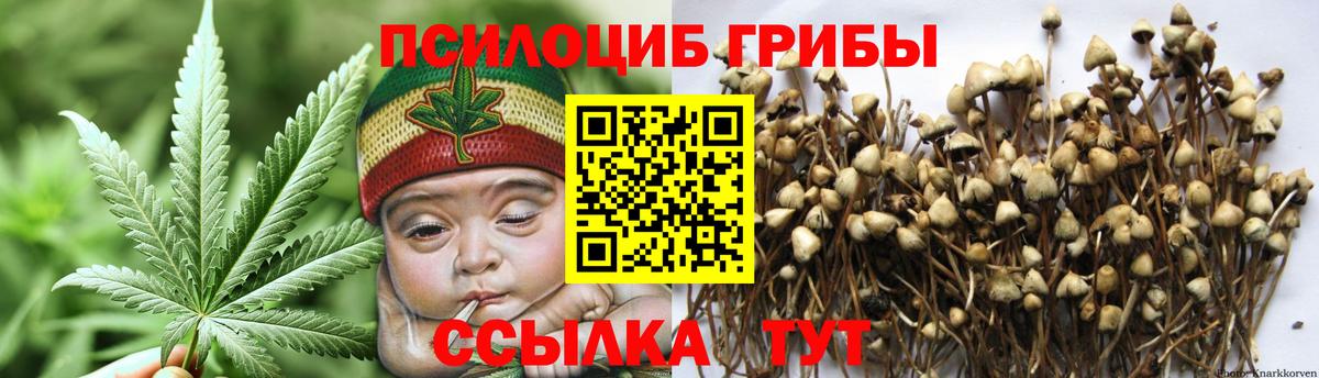 Шелехов  Псилоцибиновые грибы мицелий  Вход с VPN 